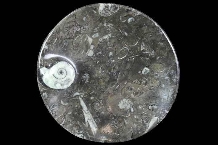 Round Fossil Goniatite Dish #91491